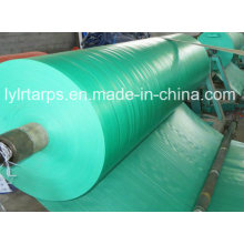 HDPE Laminted Green Tarpaulin Roll, PE Tarp Roll/Poly Tarp Cover